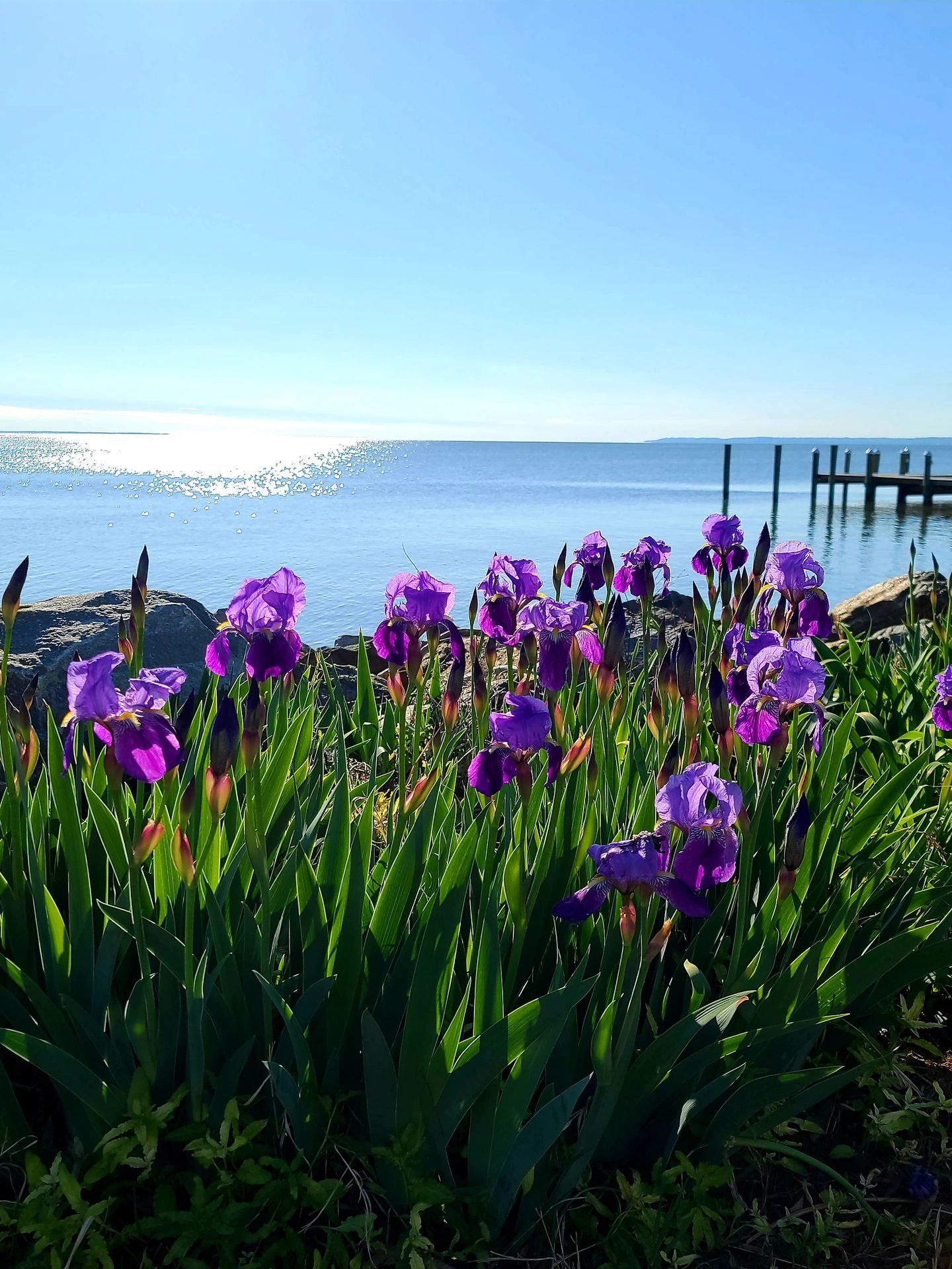 Colonial Beach VA Rentals Colonial Beach Vacation, Vacation Rentals